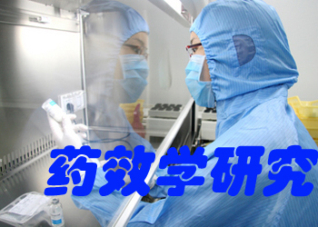 药效学研究 药效学研究