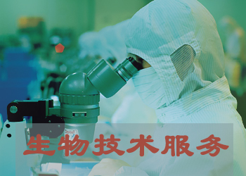 生物技术服务 生物技术服务
