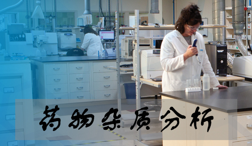 药物杂质分析 药物杂质分析