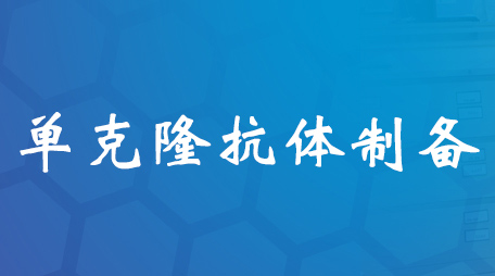 单克隆抗体制备 单克隆抗体制备