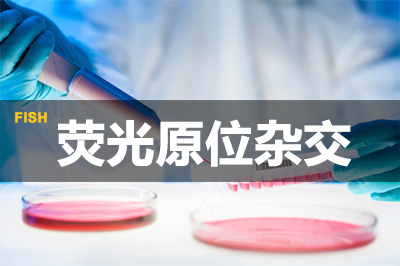 荧光原位杂交 荧光原位杂交