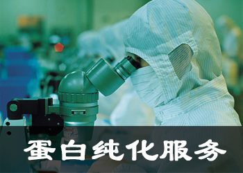 蛋白纯化服务 蛋白纯化服务