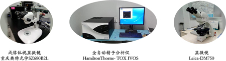 xcsports生殖毒属性服务实验仪器 xcsports生殖毒属性服务实验仪器