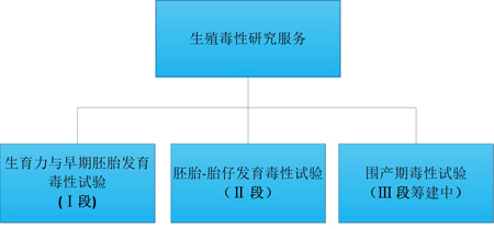 xcsports的生殖毒性服务 xcsports的生殖毒性服务
