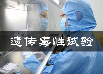 遗传毒性试验 遗传毒性试验