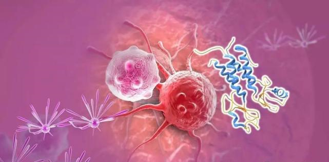 【盘点】高选择性mTOR抑制剂的研究进程_xcsports生物医药