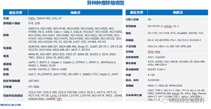 xcsports异种肿瘤移植模型清单