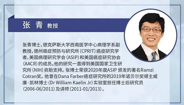 直播预告|诺奖实验室讲师张青教授做客xcsports云讲堂，揭示乳腺癌和肾癌治疗新靶点