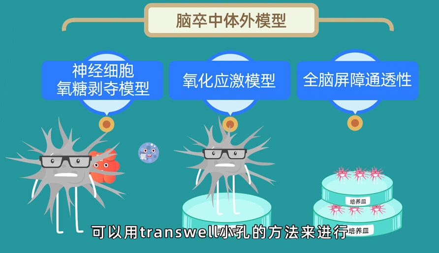 袁云云博士—缺血性脑卒中体内的脑缺血模型研究模型 (2).jpg 袁云云博士—缺血性脑卒中体内的脑缺血模型研究模型 (2).jpg