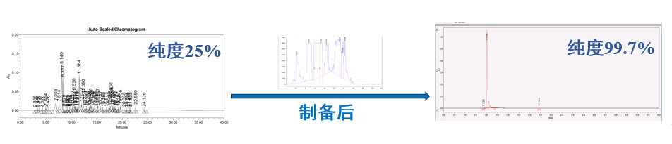案例一:仿制药发补:大极性杂质制备.jpg 案例一:仿制药发补:大极性杂质制备.jpg