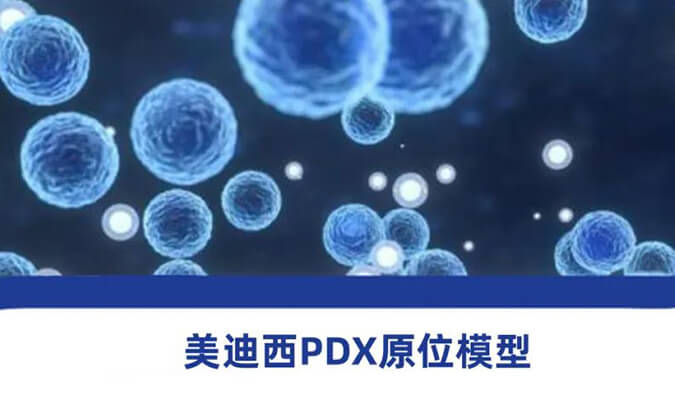 xcsports118种PDX原位模型，助力肿瘤药物研发