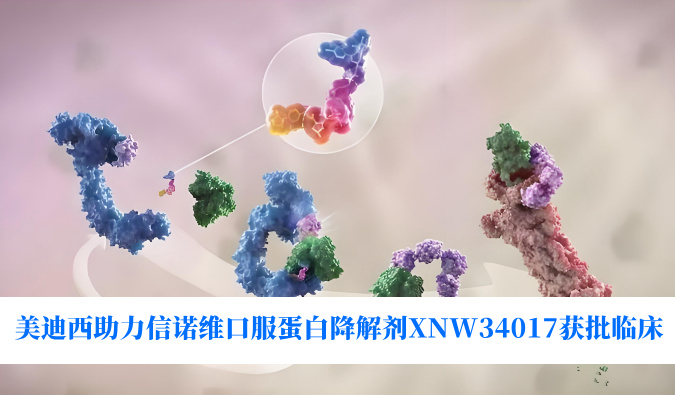 xcsports助力合作伙伴信诺维口服蛋白降解剂XNW34017获批临床