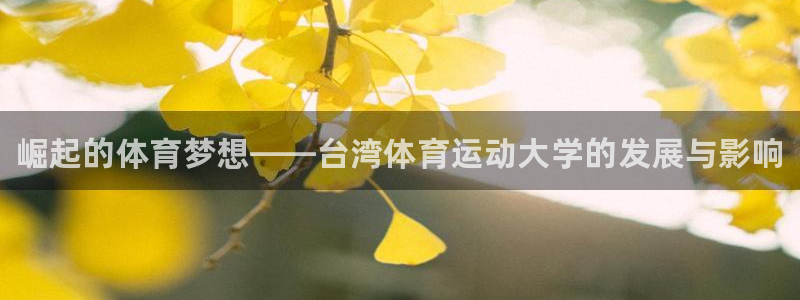 3377体育官网下载是干嘛的公司：崛起的体育梦想——台湾体育