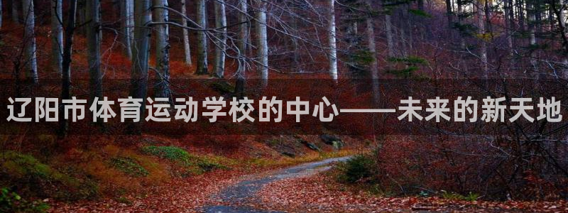 3377体育官网下载软件：辽阳市体育运动学校的中心——未来的