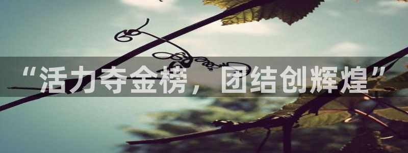 3377体育官网下载平台注册要钱吗：“活力夺金榜，团