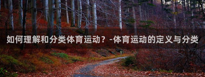 3377体育官方正版app科技：如何理解和分类体育运动？-体