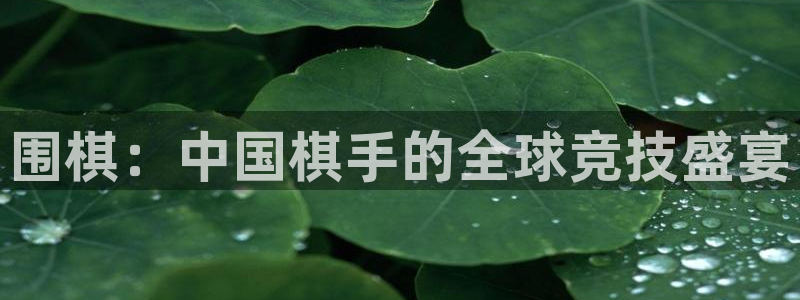 3377体育平台正规吗怎么样