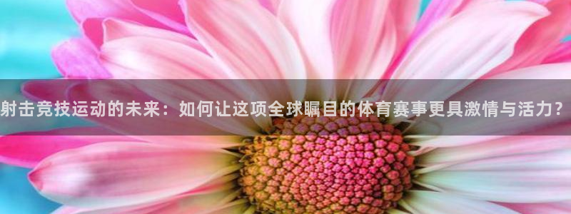 3377体育游戏