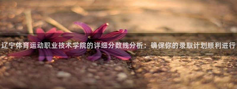3377体育为什么提不出来